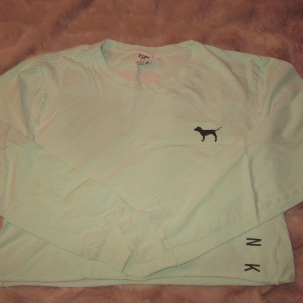 PINK Victoria's Secret Mint Green Long Sleeve Tee with Black Logo